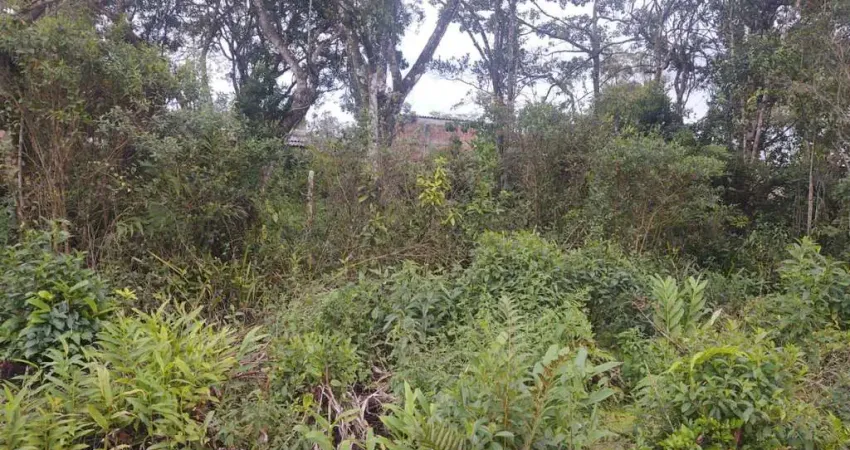 Terreno à venda no Balneário Gaivota, Itanhaém 