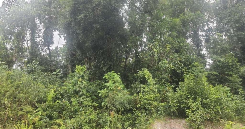 Terreno para Venda em Itanhaém, Parque Fluvial