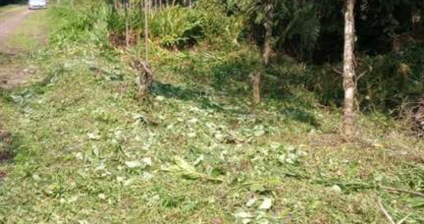 Terreno à venda na Avenida Flacides Ferreira, 796, Balneário Gaivota, Itanhaém