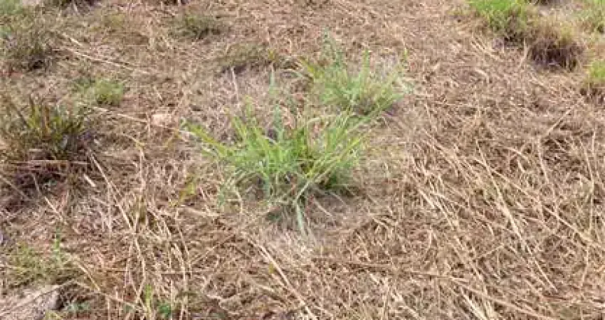 Terreno à venda na Rua Reverendo Manoel Pereira da Silva, 45, Vila Florença, Indaiatuba