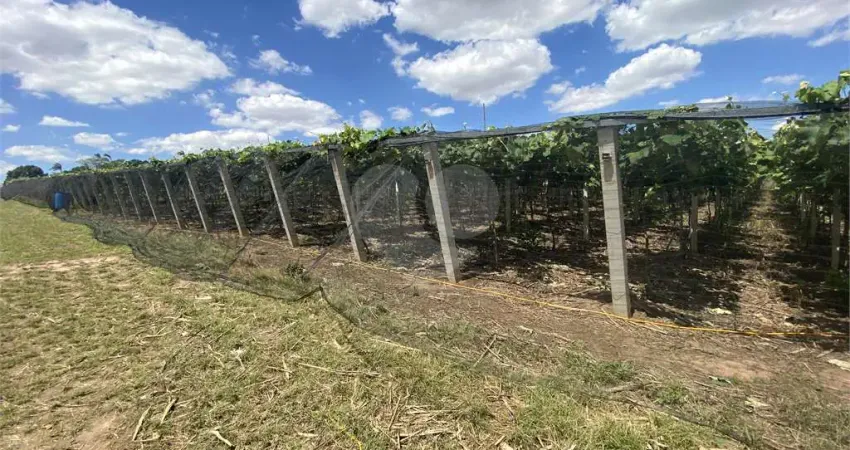 Chácara / sítio com 3 quartos à venda na José Mendes De Godói, S/N, Loteamento Vila Central, Elias Fausto