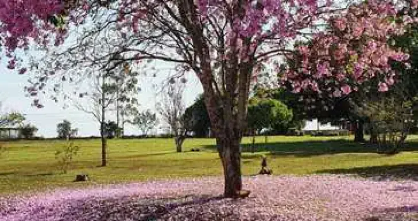Terreno à venda na Rua das Bromélias, O Estribo, Avaré