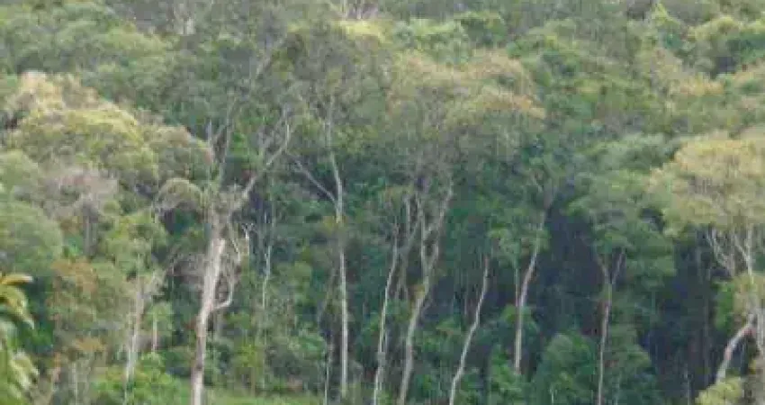 Terreno à venda na Rua Apolônia Pinto, Mury, Nova Friburgo