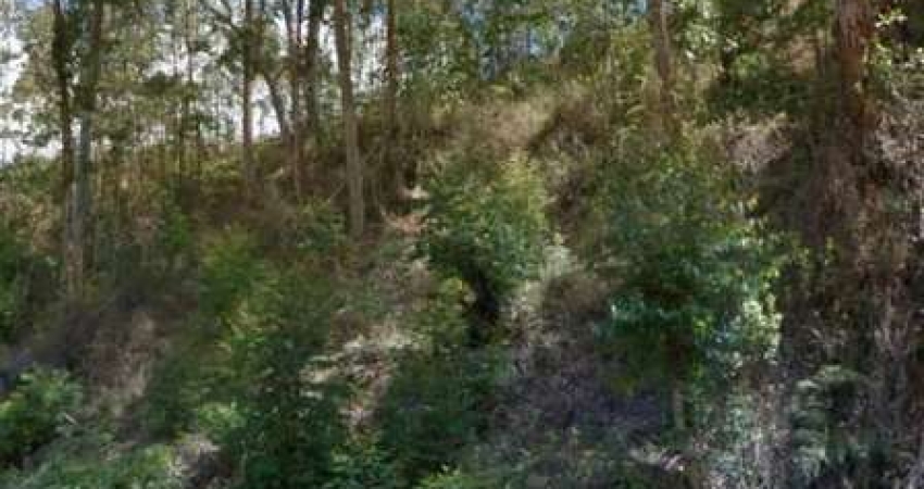 Terreno para Venda em Nova Friburgo, VARGINHA