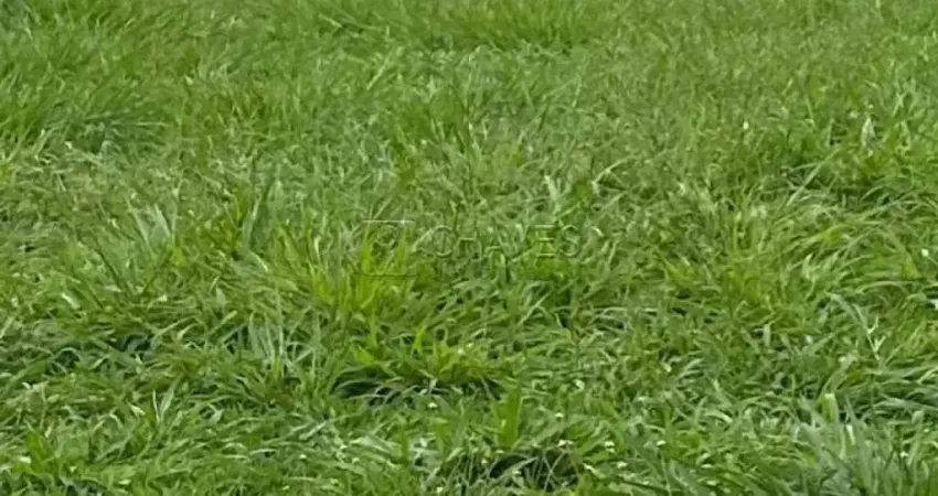 Terreno em condomínio de 823,50 m² à venda no condomínio terras de siena, loteamento terras de siena, zona sul de ribeirão preto