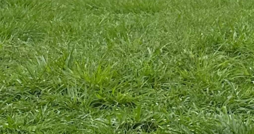 Terreno condomínio de 300 m² à venda no condomínio Vivendas da Mata, Zona Sul de Ribeirão Preto
