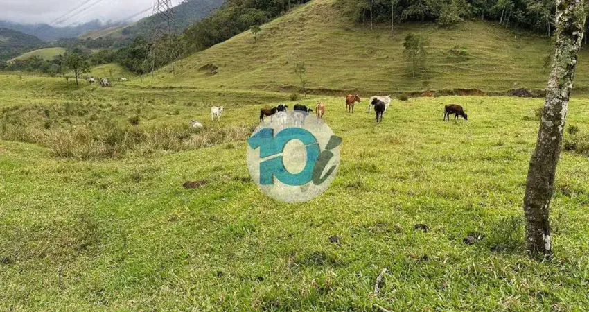 Chácara / sítio à venda em Lídice, Rio Claro 