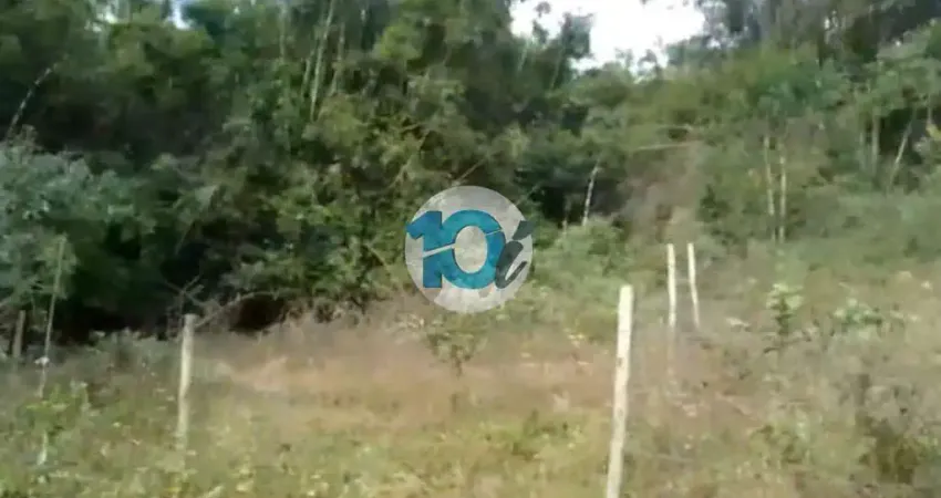 Chácara / sítio à venda na Estrada Governador Chagas Freitas, Rialto, Barra Mansa