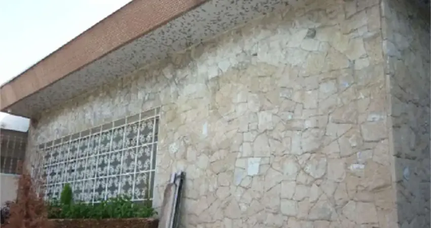 Casa térrea com 2 quartos à venda em Vila Nova Carolina - SP