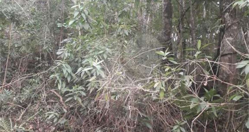 Terreno à venda em Suasalito - SP