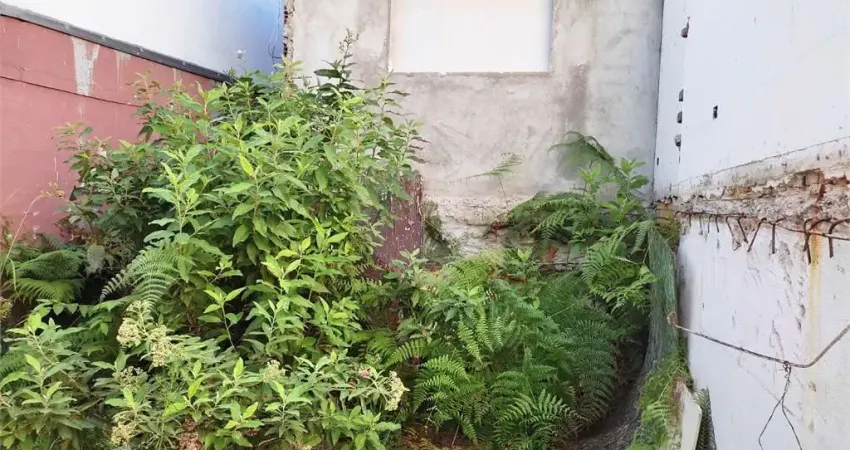Terreno comercial à venda na Vila Guilherme, São Paulo 