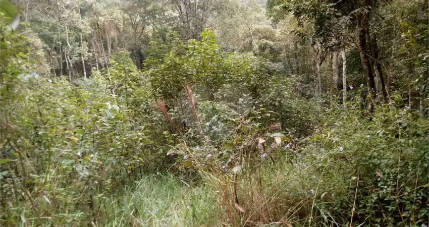 Terreno à venda na Vereador Belarmino Pereira De Carvalho, Serra da Cantareira, Mairiporã