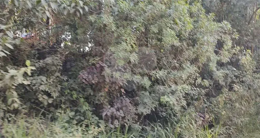 Terreno comercial à venda na Estrada Municipal, 12, Luiz Fagundes, Mairiporã