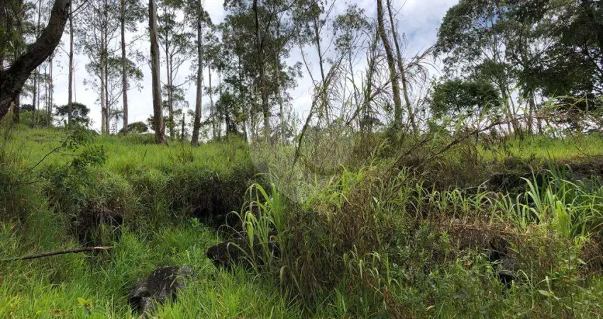 Terreno à venda na Vereador Belarmino Pereira De Carvalho, Serra da Cantareira, Mairiporã