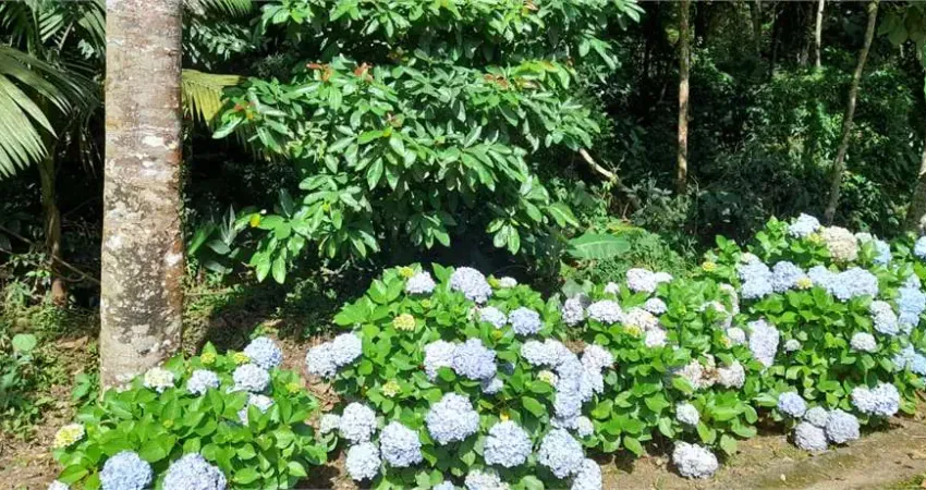 Terreno em condomínio fechado à venda na Gravatá, Roseira, Mairiporã