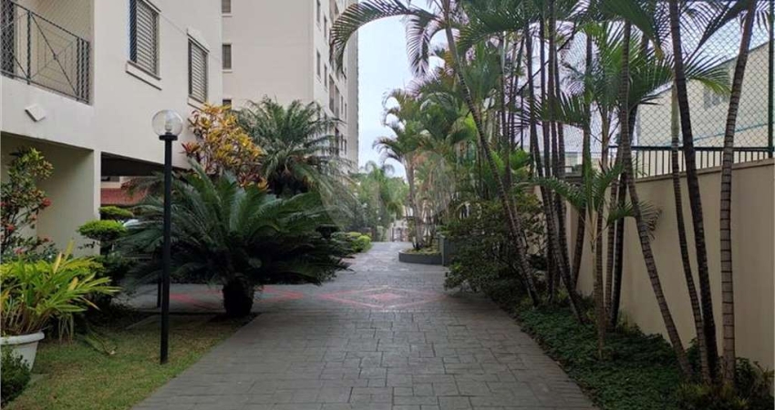 Apartamento com 3 quartos à venda em Lauzane Paulista - SP