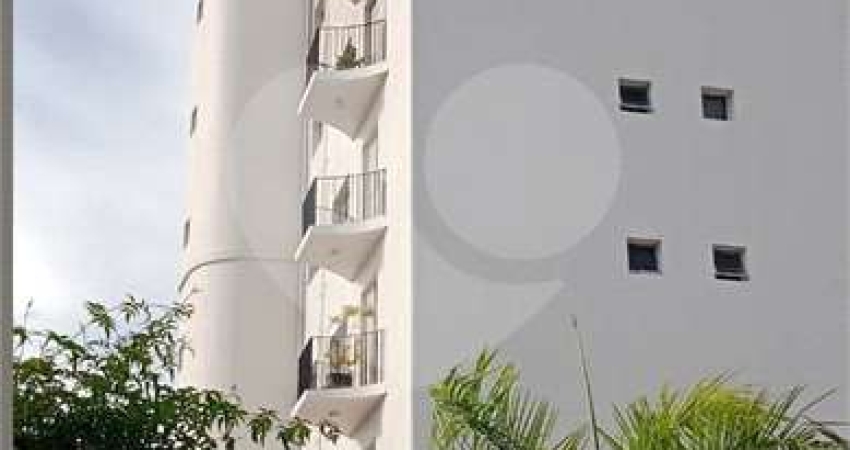 Apartamento com 3 quartos à venda em Parque Mandaqui - SP