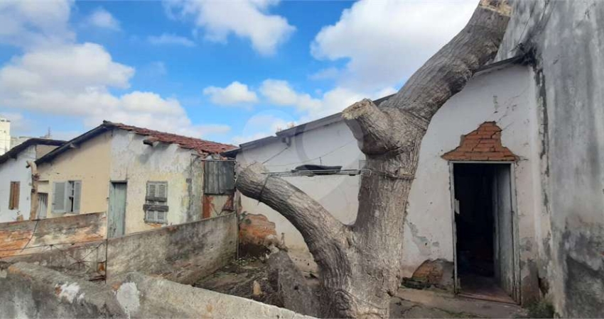 Terreno à venda na Avenida Caraurana, Vila Mazzei, São Paulo