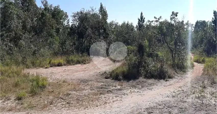 Terreno em condomínio fechado à venda no Caraguatá, Mairiporã 
