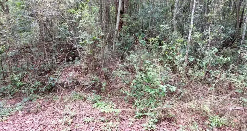 Terreno em condomínio fechado à venda na Serra da Cantareira, Mairiporã 