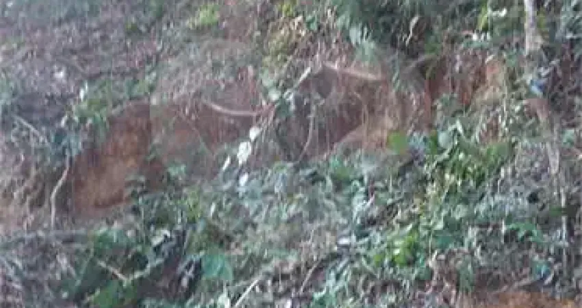 Terreno em condomínio fechado à venda na Serra da Cantareira, Mairiporã 