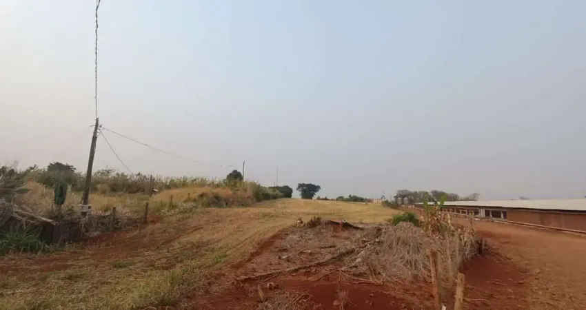 Chácara / sítio à venda na Estrada Santa Fé de Marialva, Zona Rural, Marialva