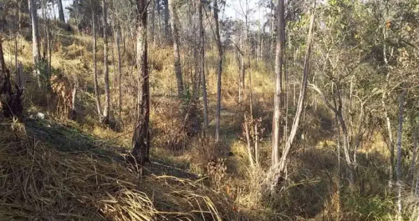 Terreno à venda, 8600 m² por R$ 400.000,00 - Jardim dos Lagos - Franco da Rocha/SP