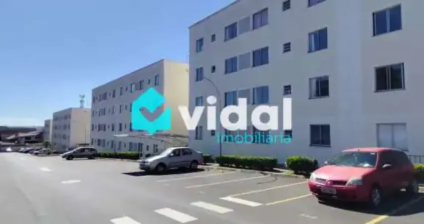 Apartamento com 2 quartos para alugar na Rua Teixeira Mendes, 1440, Uvaranas, Ponta Grossa
