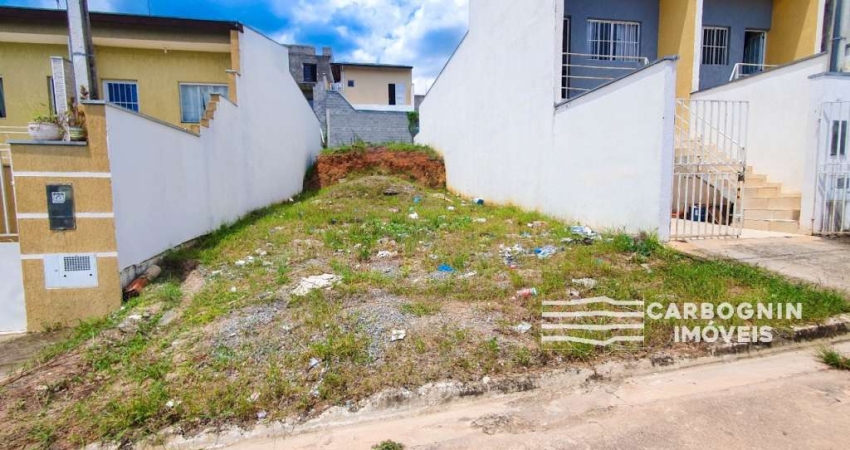 Terreno à venda na RUA VEREADOR DR. LÚCIO DE LARA RAMALHO, AO LADO 73, Residencial Borda do Campo, Caçapava