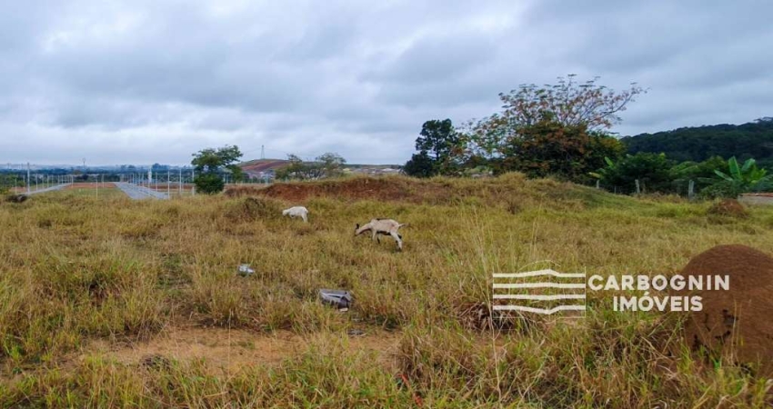 Terreno à venda na Avenida Américo Ribeiro de Souza, S/N, Jardim Panorama, Caçapava
