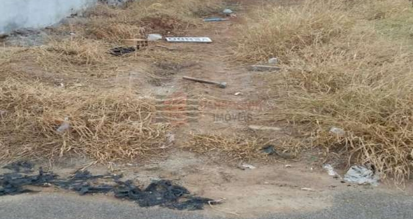 Terreno à venda na Rua Engenheira Vilma Pacheco, Residencial Borda do Campo, Caçapava