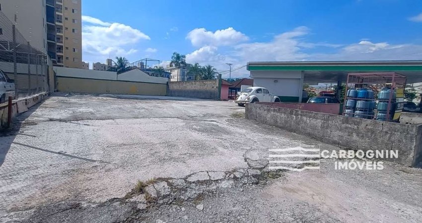 Terreno à venda na Rua Doutor José de Moura Resende, S/N, Vera Cruz, Caçapava