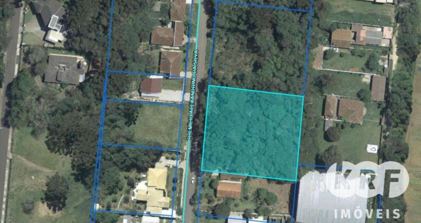 Terreno à venda, 3029 m² por R$ 2.295.000,00 - Santa Felicidade - Curitiba/PR