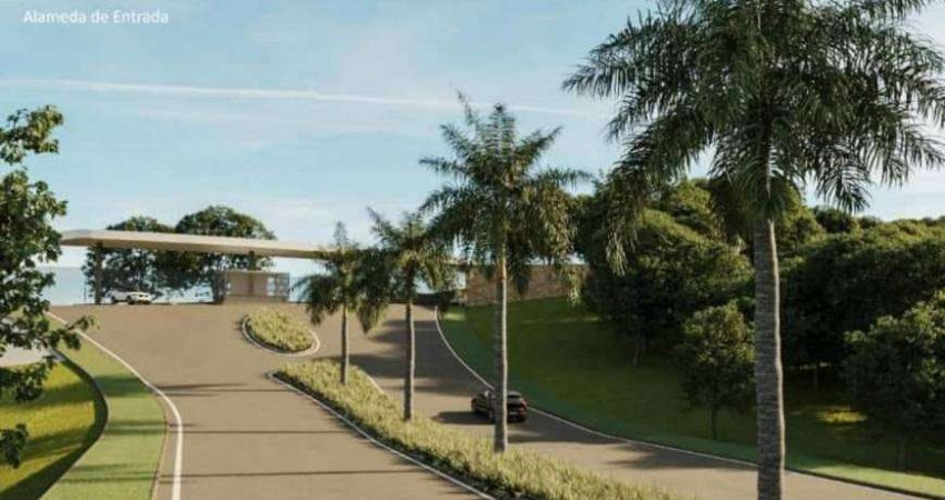 Terreno com 503 m2, com ótima topografia e no alto do Condomínio
