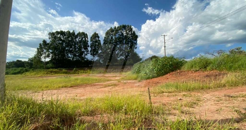 Terreno para venda em São Pedro de 6053.00m²