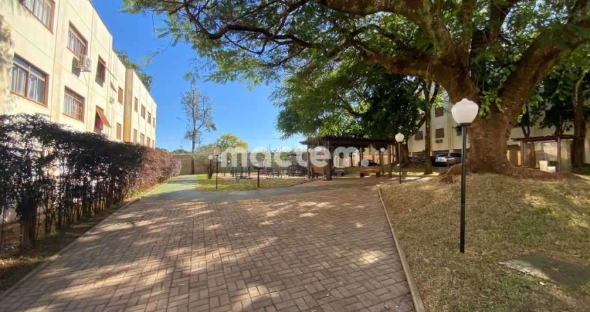Apartamento para venda em Jardim Castelo Branco de 76.00m² com 3 Quartos e 1 Garagem