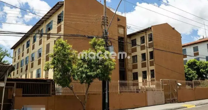 Apartamento para venda em Jardim João Rossi de 48.00m² com 2 Quartos e 1 Garagem