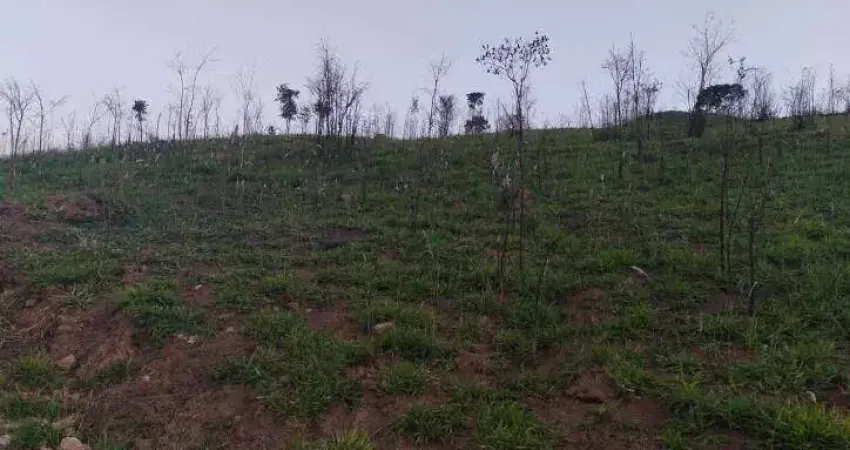 Terreno para venda em Botujuru (botujuru) de 20456.00m²