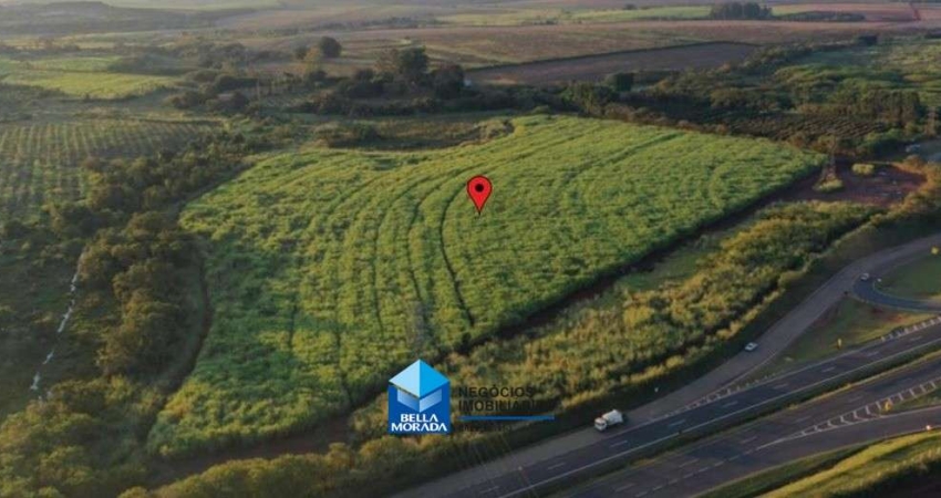 Lote / Terreno para venda em Palmeiras de 162000.00m²