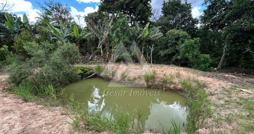 Chácara para venda em Piedade de 8000.00m² com 2 Quartos, 1 Suite e 4 Garagens