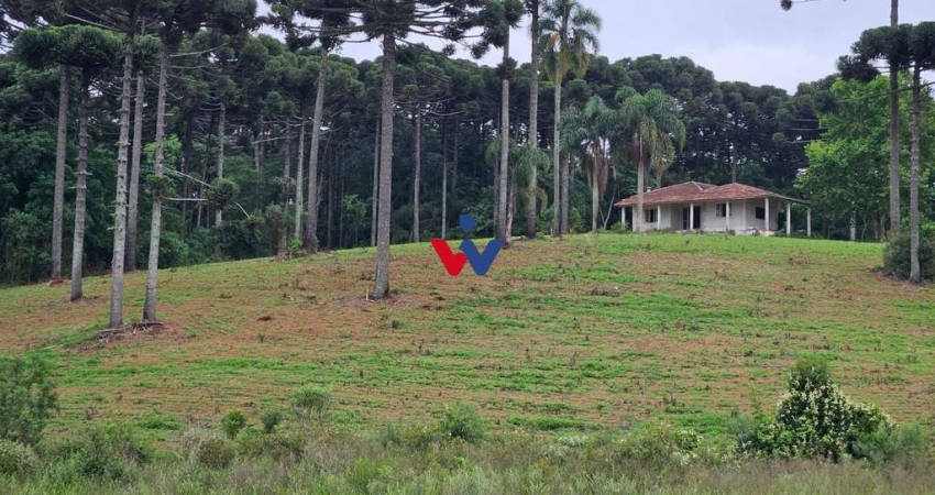Fazenda / Sítio para venda em Contenda de 1694000.00m² com 3 Quartos e 1 Garagem