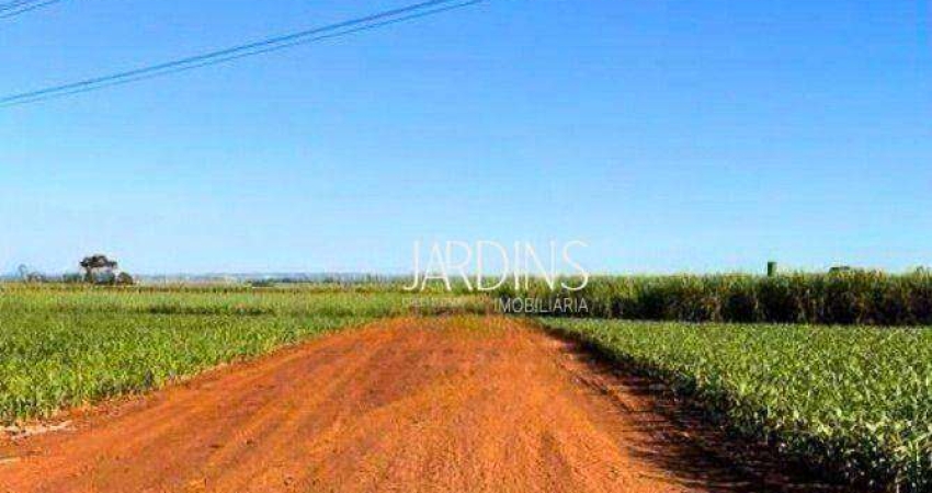 Terreno para venda em Beira-rio de 70500.00m²
