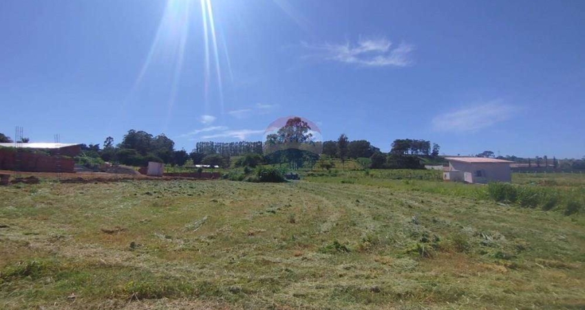 Terreno para venda em Machadinho de 1218.00m² com 20 Garagens