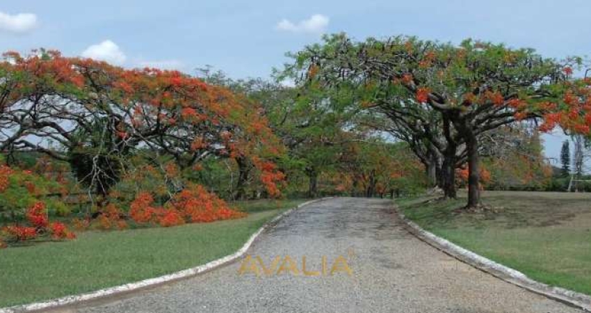 Terreno en Condomínio para venda em Jardim Villa Sapezal de 360.00m²