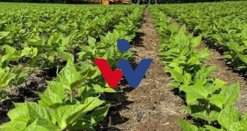Fazenda / Sítio para venda em São Mateus Do Sul de 242000.00m² com 1 Quarto