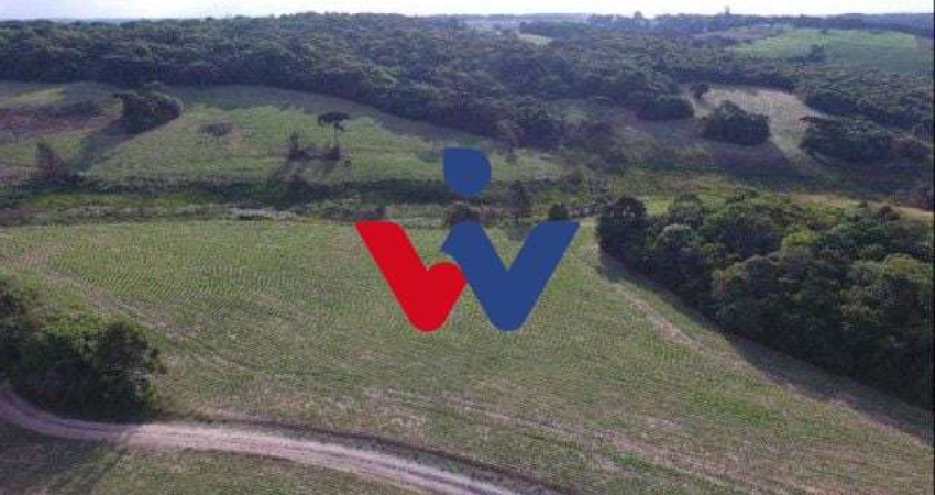 Chácara para venda em Lapa de 677600.00m² com 2 Quartos