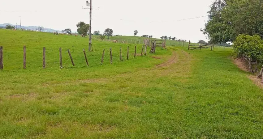 Lote / Terreno para venda em Dois Vizinhos de 1210000.00m² com 1 Quarto