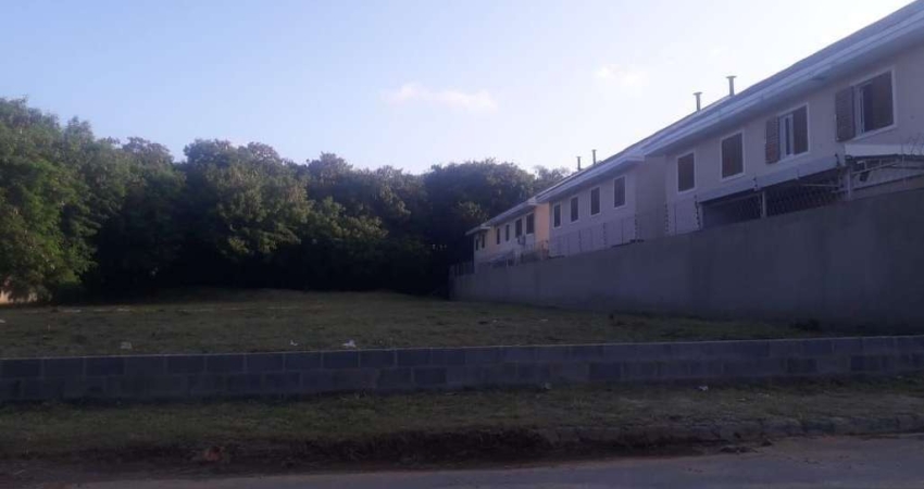 Terreno para venda e aluguel em Jardim São Carlos de 1950.00m²
