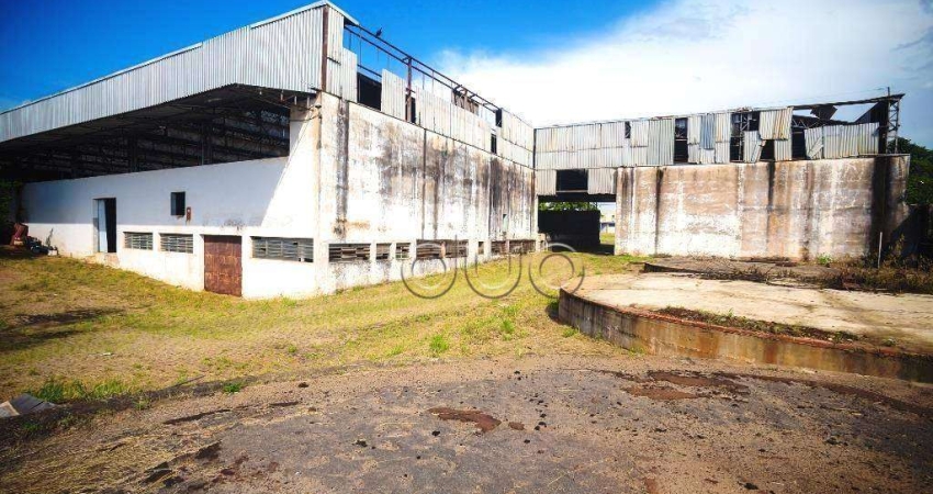 Galpão / Depósito / Armazém para venda e aluguel em Vila Rezende de 5000.00m² com 800 Garagens