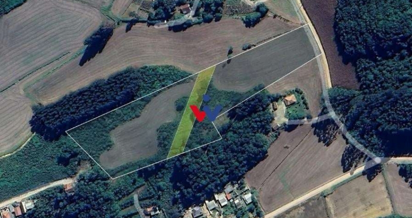 Terreno para venda em Campo Magro de 24080.00m²